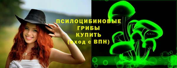 apvp Аркадак