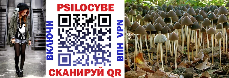 Псилоцибиновые грибы GOLDEN TEACHER где найти Луховицы